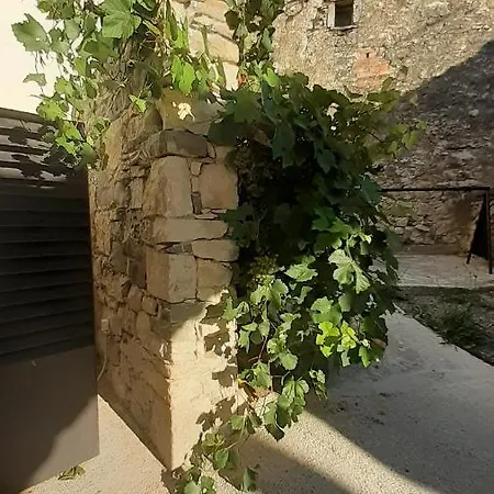 Fine Vipava