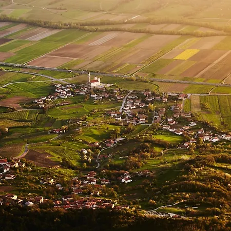 Fine * Vipava