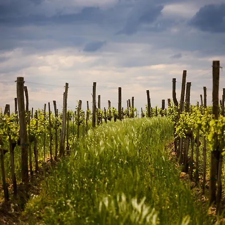 Fine Appartamento Vipava